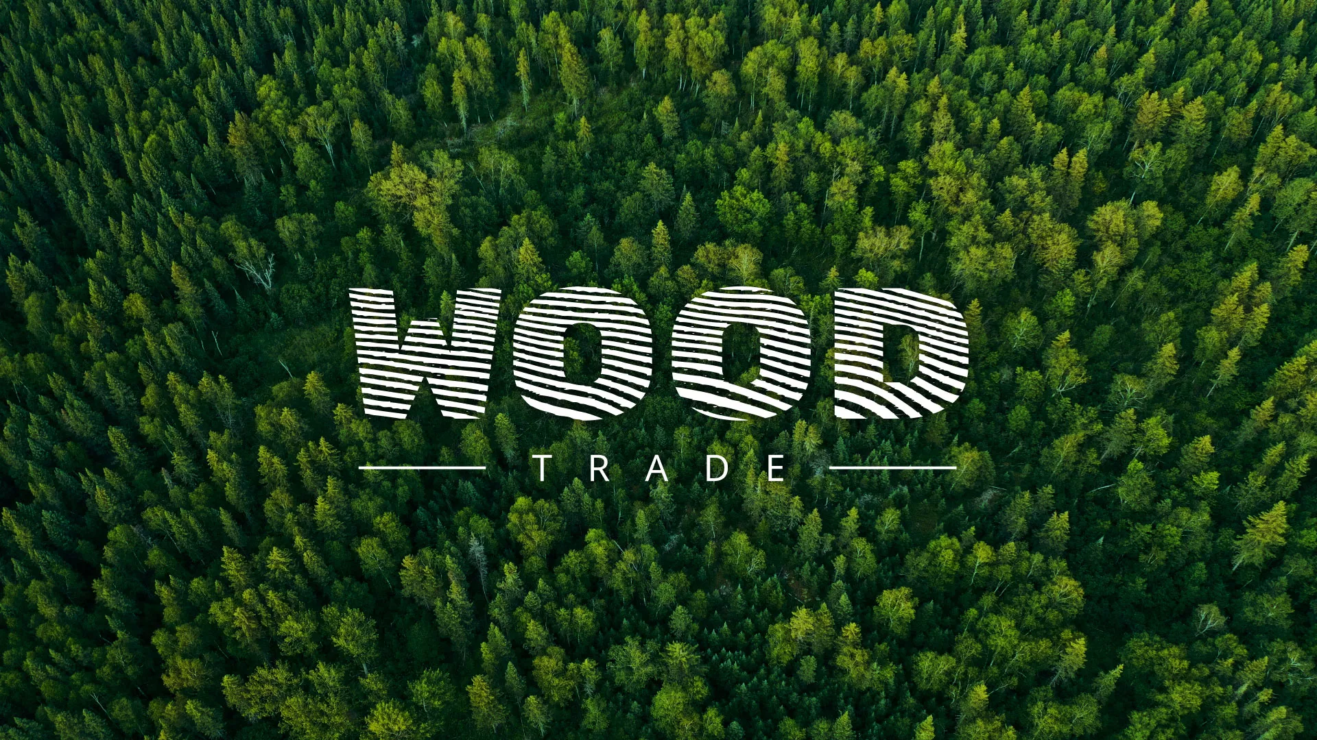 Разработка интернет-магазина компании «Wood Trade» в Заинске