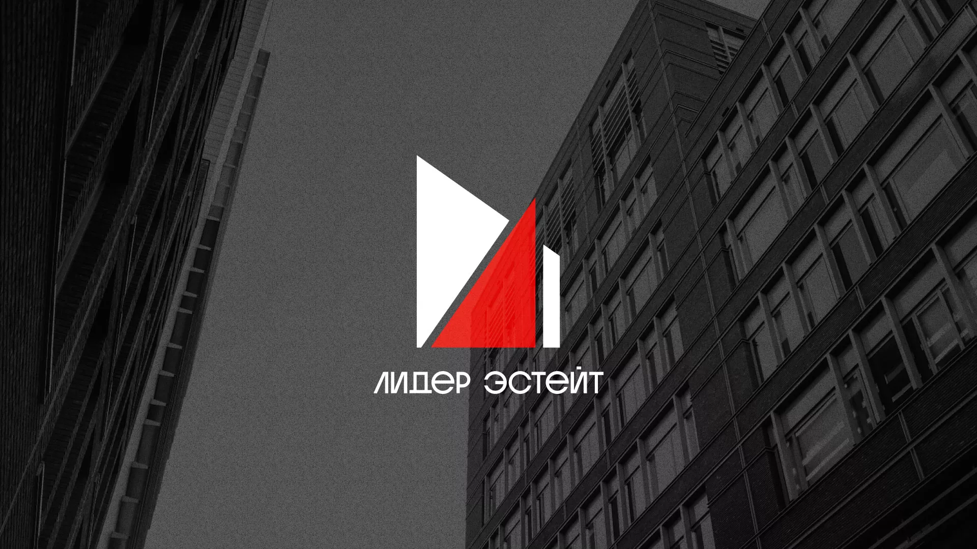 Сделали логотип для агентства недвижимости «Лидер Эстейт» в Заинске