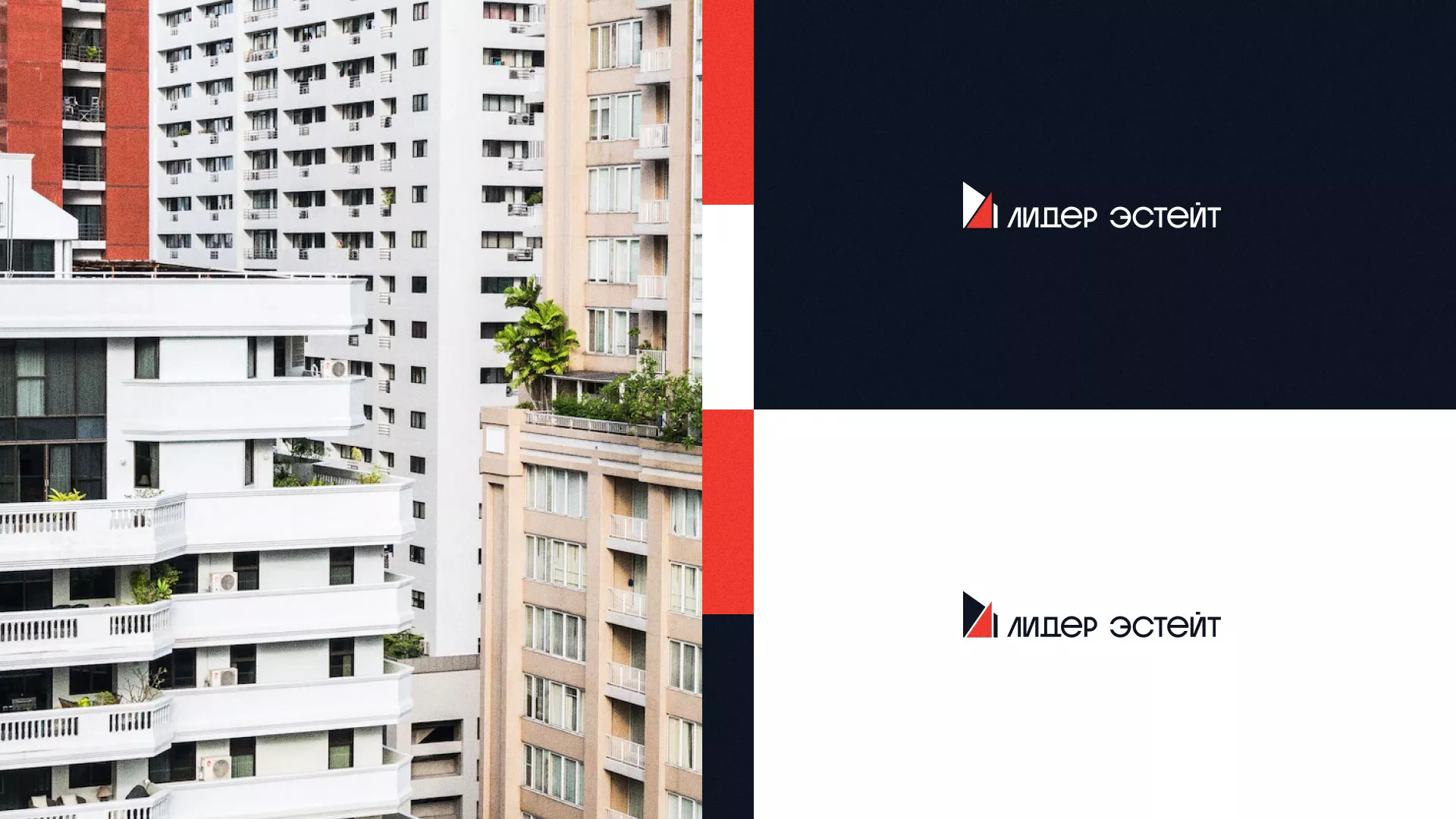 Сделали логотип для агентства недвижимости «Лидер Эстейт» в Заинске